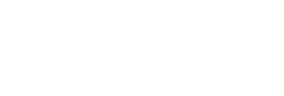 Boston Investments Staffing Group Inc