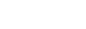 Boston Investments Staffing Group Inc